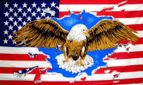 usa-eagle-4de639b4533cf USA Eagle 5'x3' - Image 1