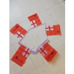 6m 20 flag Orange Order (Boyne Standard) bunting