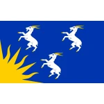 Merionethshire hand flag