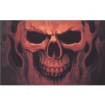 Skull Ghost 5'x3'