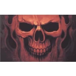 Skull Ghost 5'x3'