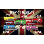 60's Mini's 5'x3'