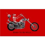 Born To Be Wild (motorcycle) 5'x3'