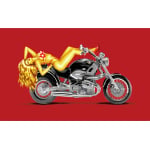 Girl on Motorcycle new 5'x3'