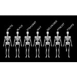 we are all the same flag. skeletons showing different beliefs