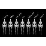 we are all the same flag. skeletons showing different beliefs