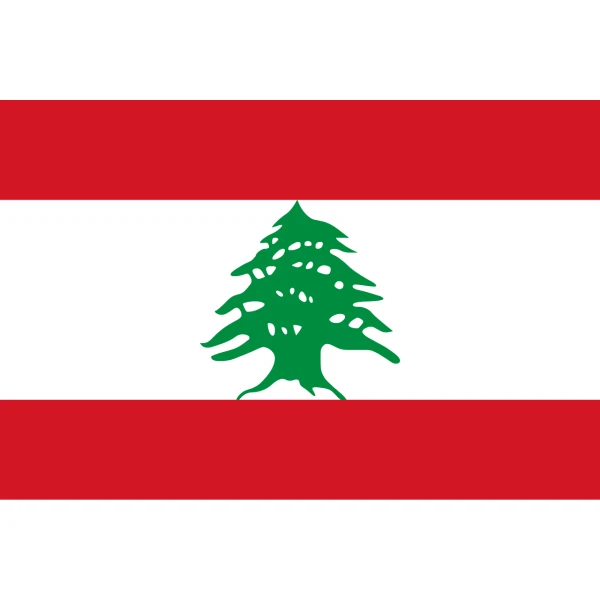 Lebanon medium table flag