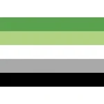 Aromantic (Gay Pride) 5'x3'