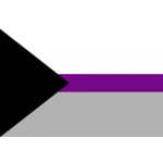 Demisexual (Gay Pride) 5'x3'