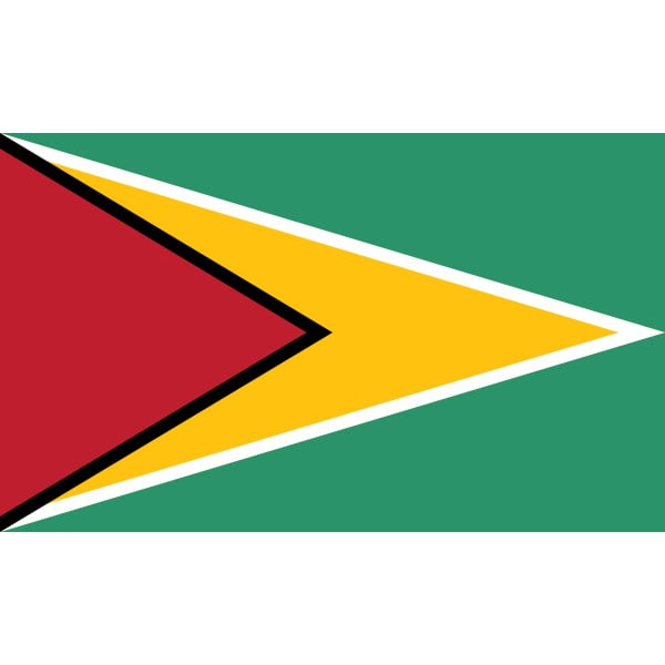 Guyana 3'x2'
