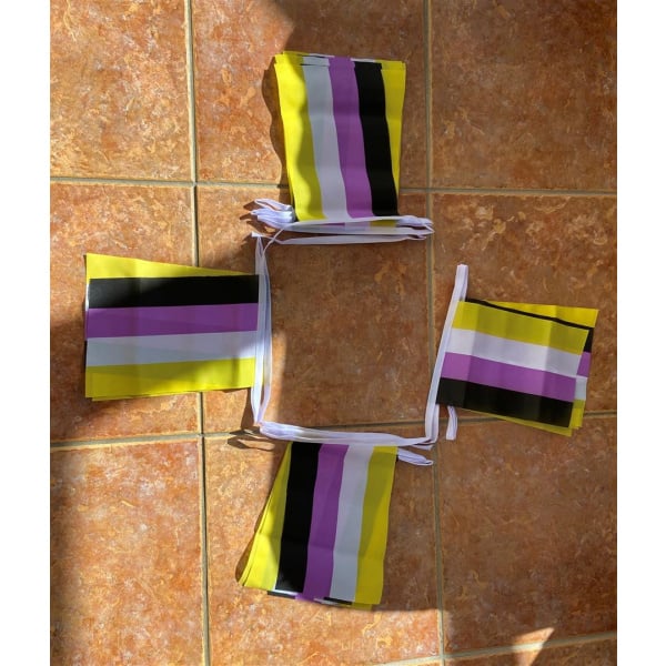 6m 20 flag Non Binary (Gay Pride) bunting