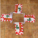 6m 20 flag Prince Edward Island bunting