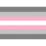Demi Girl (Gay Pride) 5'x3'