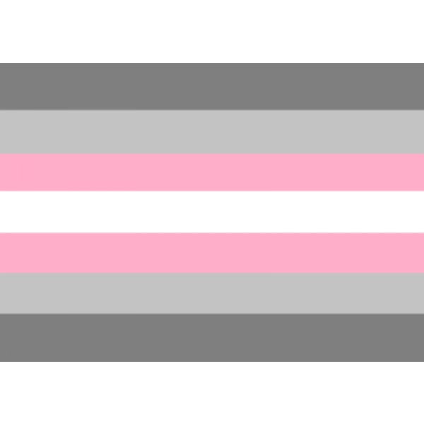 Demi Girl (Gay Pride) 5'x3'