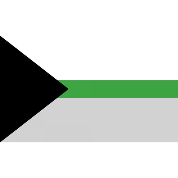 Demi Romantic (Gay Pride) 5'x3'