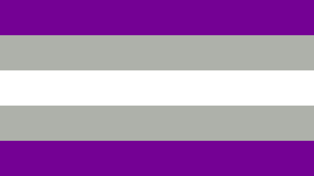 Greysexual Greysexual (Gay Pride) 5'x3' - Image 1