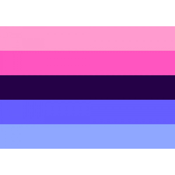 Omnisexual (Gay Pride) 5'x3'