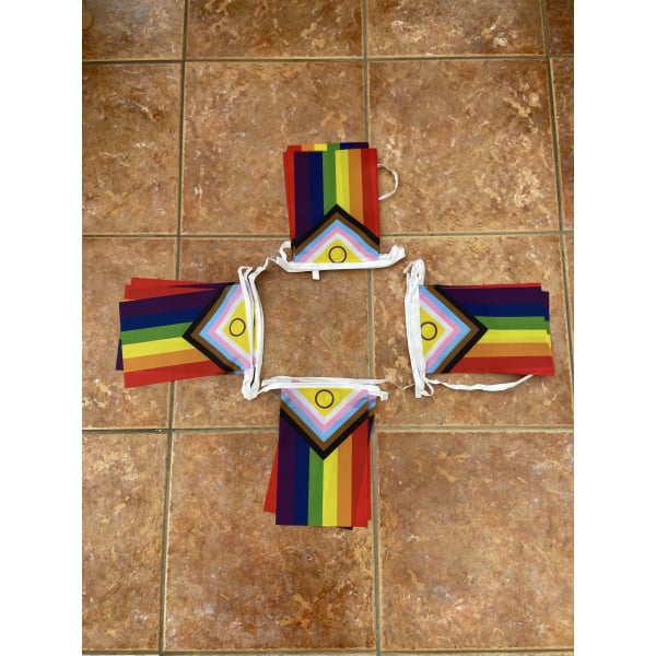 6m 20 flag Intersex Progress Pride (Gay Pride) bunting