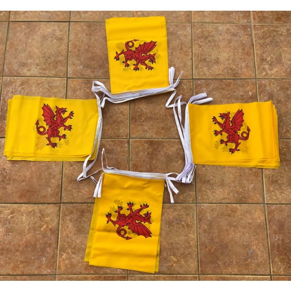 20m 32 flag Somerset new bunting