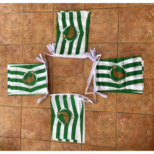 20m 32 flag Wiltshire bunting