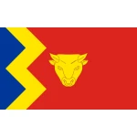 Birmingham hand flag