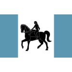 Coventry table flag