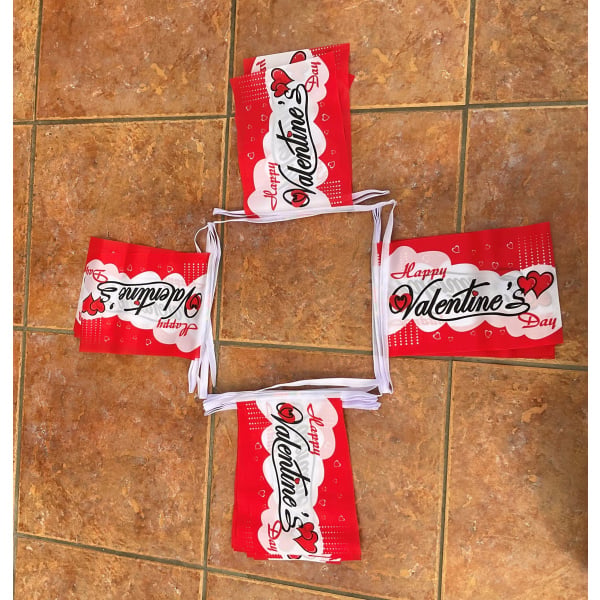 6m 20 flag Happy Valentine's Day bunting