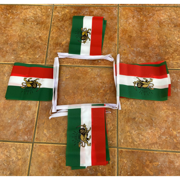 6m 20 flag Iran Persia bunting