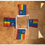6m 20 flag Rainbow Venus/Women (Gay Pride) bunting