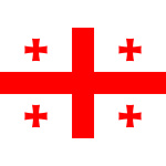 Georgia medium hand flag