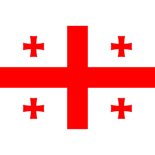 Georgia medium hand flag
