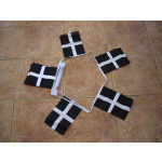 3m 10 flag Cornwall bunting