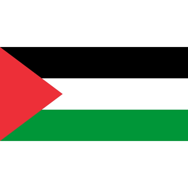 Palestine medium hand flag