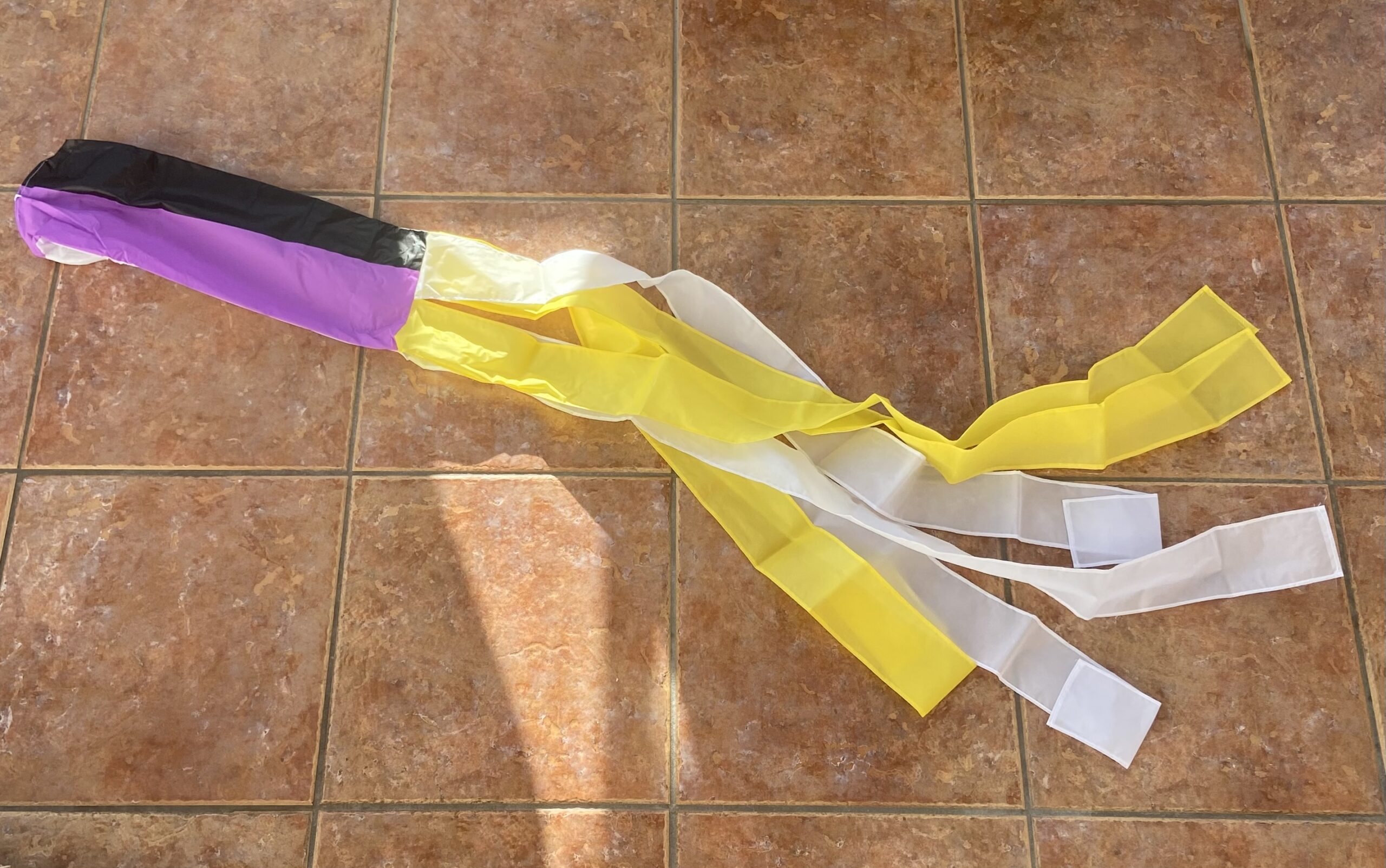 non binary windsock Non Binary 60" windsock - Image 1