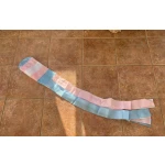 Transgender Monica Helms 60" windsock