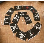 10m 13 flag 18"x12" multi pirate bunting
