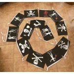 10m 13 flag 18"x12" multi pirate bunting