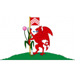 Cardiff (Wales) 5'x3'