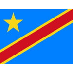 Democratic Republic of Congo (Kinshasa Zaire) new medium hand flag