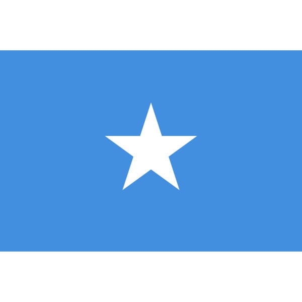 Somalia hand flag