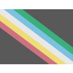 Disability Pride 5'x3'