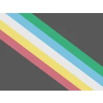 Disability Pride 5'x3'