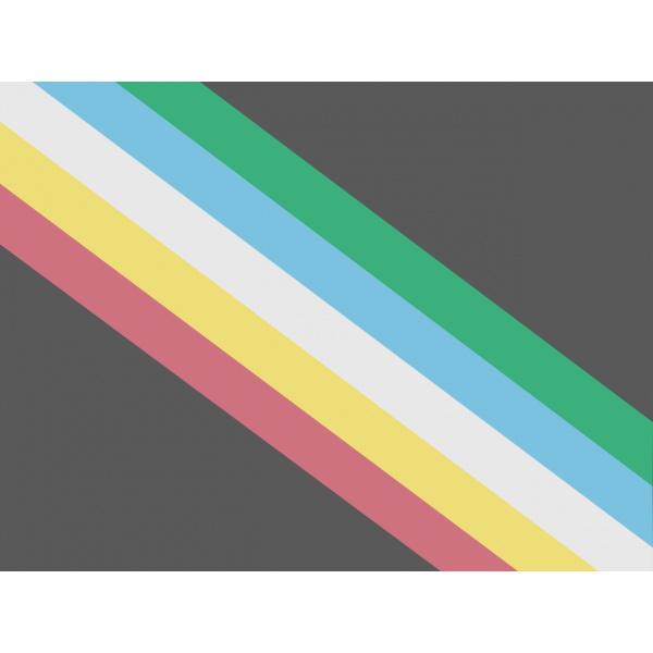 Disability Pride 5'x3'
