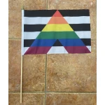 Straight Ally (Gay Pride) large hand flag