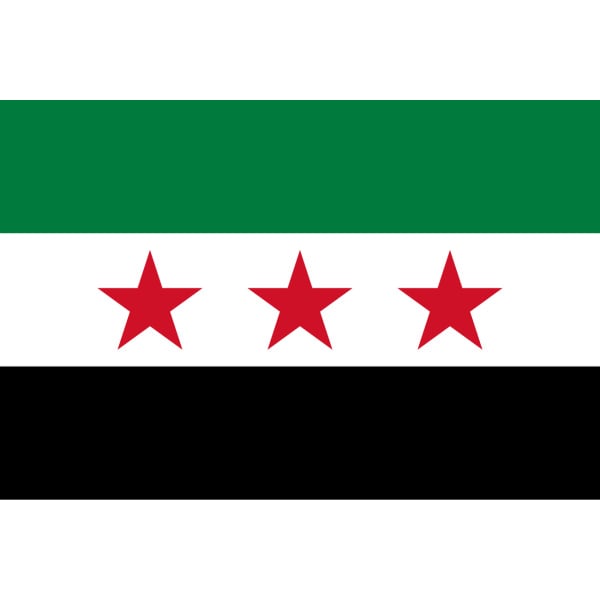 Syria (1932-58/2024+) 3 stars medium hand flag