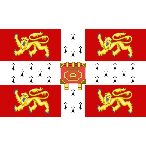University of Cambridge 5'x3'