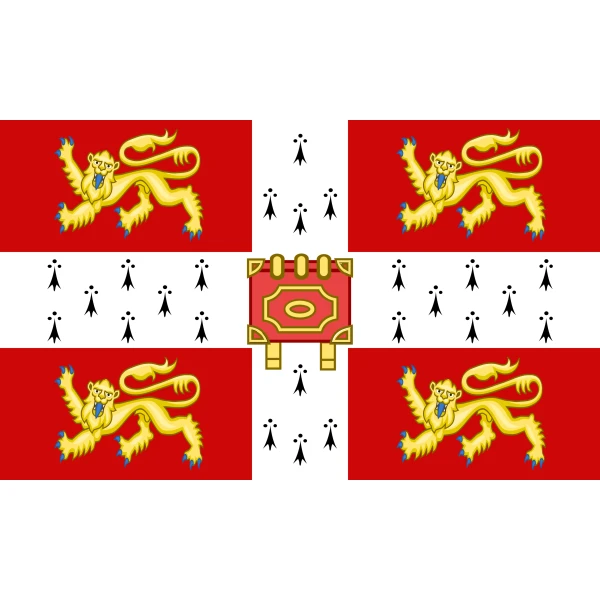 University of Cambridge 5'x3'