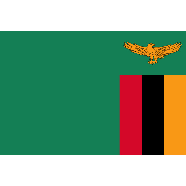 Zambia medium hand flag