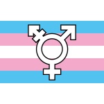 Transgender symbol (Gay Pride) 5'x3' TO CLEAR!!