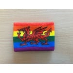 Rainbow Wales (Gay Pride) wrist band/sweat band